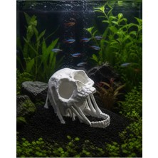 Liya3D Akvaryum Dekor Kurukafa Figürü – 3D Baskı Petg – Suya Dayanıklı Dekoratif Obje (17 Cm)