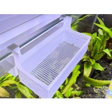 Liya3D Akvaryum Yavru Balık Yavruluğu 6 mm Cam Uyumlu Petg Askılı Yavruluk 5X12 cm Beyaz 3D Baskı