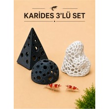 Liya3D Karides 3’lü Akvaryum Saklanma Seti – Petg Suya Salınım Yapmayan Dekoratif Karides Yuvası