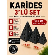 Liya3D 3’lü Piramit Karides Saklanma Alanı Seti – Petg Akvaryum Dekoru | Nano Tank & Karides Yuvası