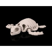Liya3D Akvaryum Kaplumbağa Iskelet Dekor – 3D Baskı Petg 12 cm – Suya Dayanıklı Dekoratif Obje