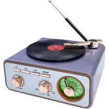 Uravas Store Metalik Nostaljik Tasarım Plak Çalar Görünümlü Radyolu Bluetooth Hoparlör Retro Müzik Plak