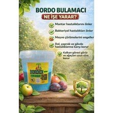 BORDOX Bakır %25 Içerikli Gübre Kullanıma Hazır Bordo Bulamacı 0.5kg-Meyve Ağaçları Bakım ve Dezenfekte