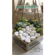 Green Efficiency Beyaz Dolomit Taşı 10KG  2-4 cm | Saksı Üstü Dekoratif Çakıl Taşı | Teraryum Bahçe Peyzaj ve Akvaryum Taş