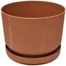 Royaleks Group 3no Saksı 6lt ROYALEKS-S283