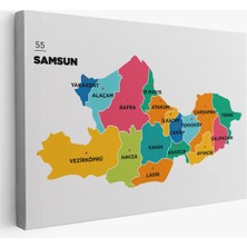 Trezon Samsun Ili ve Ilçeler Haritası Dekoratif Kanvas Tablo 1445