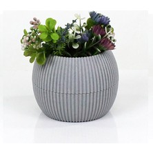 Royaleks Group Mercan Saksı 2 Numara 0,35 Litre Su Hazneli Dekoratif Kaktüs Sukulent Saksı 11,8x9,2 cm