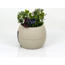 Royaleks Group Mercan Saksı 11.5X12 cm 0.70 Lt