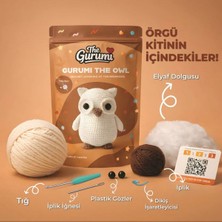 Renas Store The Gurumi Baykuş Örgü Öğrenme Kiti (TG007)
