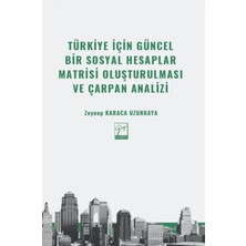 Gazi Kitabevi Türkiye Için Güncel Bir Sosyal Hesaplar Matrisi Oluşturulması ve Çarpan Analizi