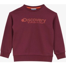 Discovery Expedition Baskılı Erkek Çocuk Mürdüm Sweatshırt D4WB-SWT3138