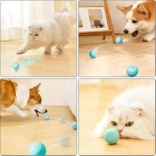 Eco Lounge Interaktif Kedi Köpek Şarjlı Oyun Topu
