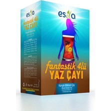 İyisi Var Fantastik 4 Lü Yaz Çayı 45 Li.
