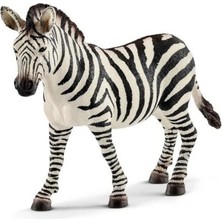 Uravas Store Mey Ithalat® Dişi Zebra