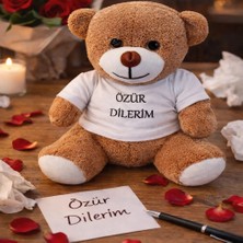 DS LLC Özür Dilerim Tişörtlü Peluş Ayıcık