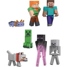 DS LLC JFG66 Minecraft Overworld Seti
