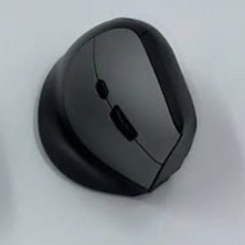 DS LLC ZR693 1688 Gri Bluetooth Wireless Ergonomik Mouse