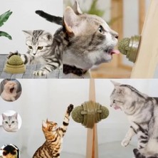 Eco Lounge Kedi Nanesi Oyun Topu