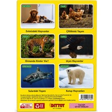Arlina Home Kids Ilk 50 Hayvan Seti Flash Cards