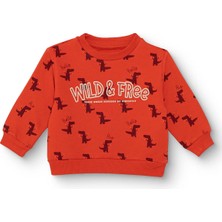 Hellobaby Erkek Bebek Sweatshirt Dinozor Baskılı Bisiklet Yaka Uzun Kol