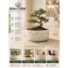 BitkiTÜRK Çiçek Motifli Beton Saksı 20X10 cm | Bonsai, Sukulent, Kaktüs ve Iç Mekan Bitkileri Için Dekoratif Saksı & Organizer
