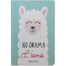 Renklime Lama Notebook Su Yeşili - Defter