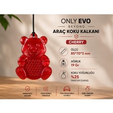 Only Evobeyond Araç Koku Kalkanı Sevimli Ayıcık