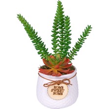 Herdekora Seramik Beyaz Saksıda Sukulent Aranjmanı Bordo-Yeşil 20X24 Cm.
