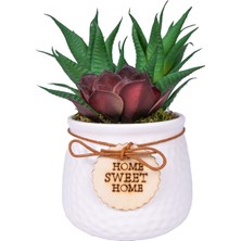 Herdekora Seramik Beyaz Saksıda Sukulent Aranjmanı Bordo-Yeşil 14X17 Cm.