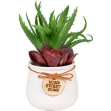 Herdekora Seramik Beyaz Saksıda Sukulent Aranjmanı Bordo-Yeşil 13X17 Cm.