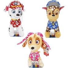tp Buğz S01064446 Figür Peluş Paw Petrol Doodle Pubs-Sun