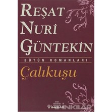 TeknoKapsül Inkılap Kitabevi Çalıkuşu