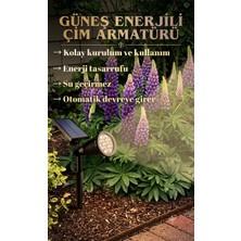 Informed Güneş Enerjili Solar * 10W Yüksek Işık * Çim Armatür * Günışığı *
