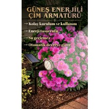 Informed Güneş Enerjili Solar * 10W Yüksek Işık * Çim Armatür * Beyaz Işık *
