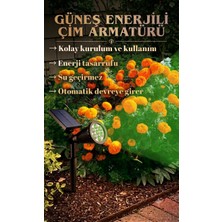 Informed Güneş Enerjili Solar * 10W Yüksek Işık * Çim Armatür * Yeşil Işık *