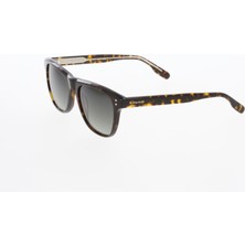 Osse 3768 02 Unisex Güneş Gözlüğü