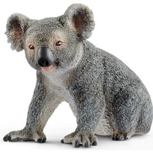 Küçük Hazine Koala