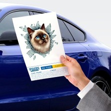 Aydogan's Fulcar Siamesse Araç Stickerı