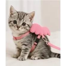 Muhtelif Kedi Kanatlı Bel Tasma (1cm)