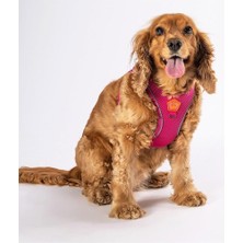 Pawstar Fuşya Air-Mesh Göğüs Tasması Kedi Köpek Göğüs Tasması Fuşya 2xs