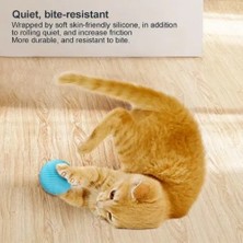 Belle Fusion Mey Ithalat® Interaktif Kedi Köpek Şarjlı Oyun Topu