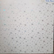 AYM Akasya Yapı Market 60X60 Pvc Asma Tavan Paneli Yıldız Desen 7,20 M2 (Ürünlerimiz Sadece Panel Satışlıdır.