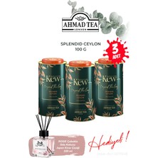 Ahmad Tea Kew Garden Splendid Ceylon 3 Kutu 100 G ve Oda Kokusu