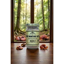 Nurbal Reishi Mantarı Ekstrak 40 Gram