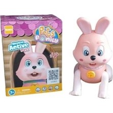 Uzman Toptan Mey Ithalat® RS-9037C/9038C Kut.pilli Tavşan / Kedi
