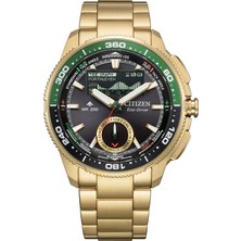 Citizen Cıtızen JV3002-51E Erkek Kol Saati