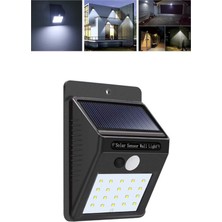 Renklime Solar Dekoratif Lambası Sensörlü LED Işık Bahçe Aydınlatma Yeni Nesil - Lisinya