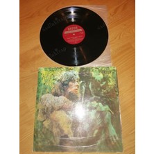 Plakperest John Mayall - Blues From Loral Canyon - 1968 Nadir Güney Afrika Basım - 33 Lük Lp Plak