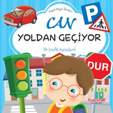Binbir Göz Kitap Küçük Hayat Dersleri Can Yoldan Geçiyor
