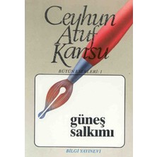 Binbir Göz Kitap Güneş Salkımı Bütün Eserleri 1